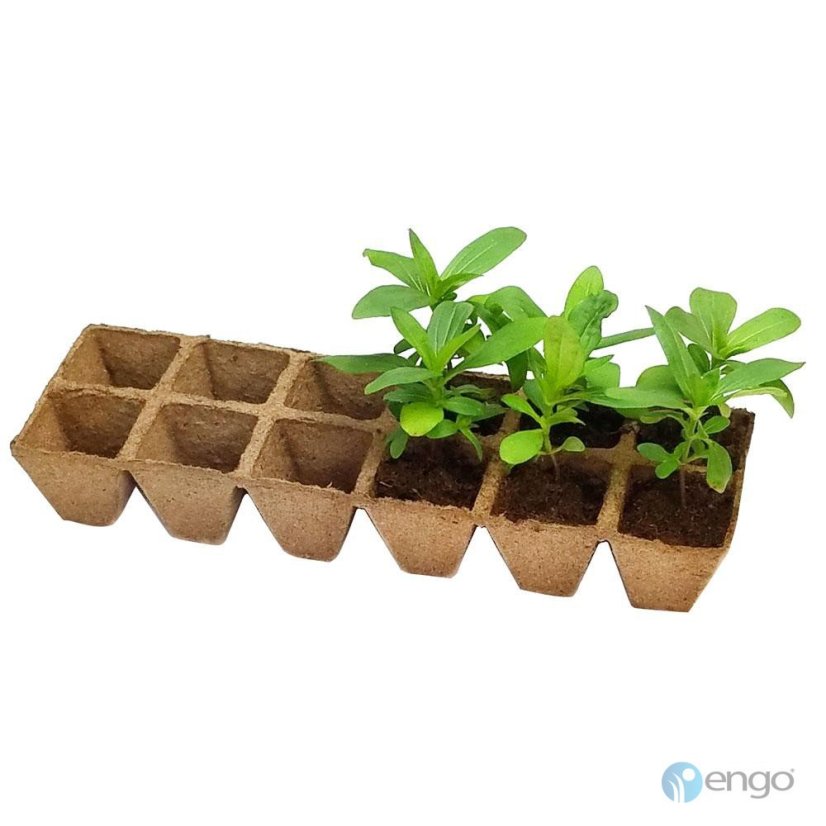 Sada na zakoreňovanie 6x2, 5X5cm