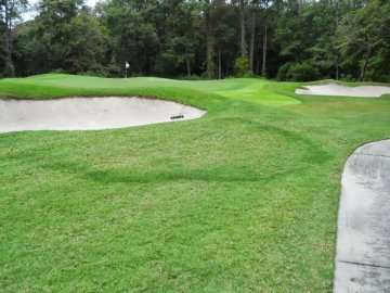 Čarovné kruhy na greene