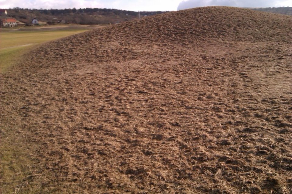 Sekundárne poškodenie trávnika vtákmi počas zimných mesiacov