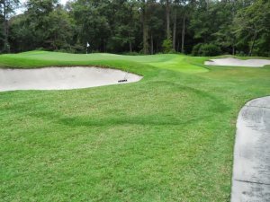 Čarovné kruhy na greene