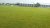 ANGELS BASEBALL CLUB TRNAVA  - hnojenie a výsev 2015