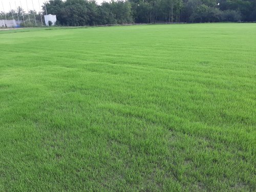 ŠTK ŠAMORÍN - rekonštrukcia ihriska 2020