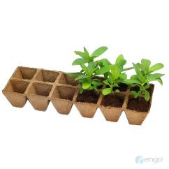 Sada na zakoreňovanie 6x2, 5X5cm